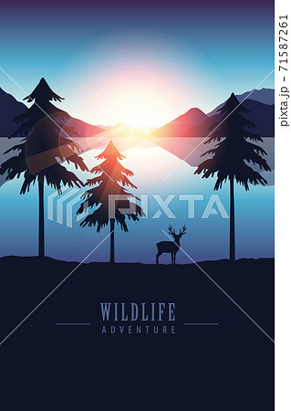 wildlife adventure elk in the wilderness by the lake at sunset 71587261