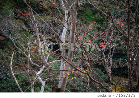 遊水峡の秋の紅葉風景 遊水峡の秋の紅葉風景 71587375