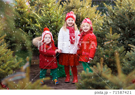 Kids buying Christmas tree 71587421