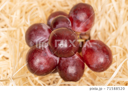 Red globe grape on straw mat 71588520