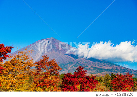 (静岡県)真っ赤な紅葉と富士山 (静岡県)真っ赤な紅葉と富士山 71588820