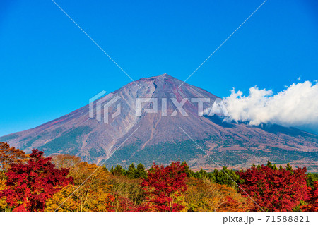 (静岡県)真っ赤な紅葉と富士山 (静岡県)真っ赤な紅葉と富士山 71588821