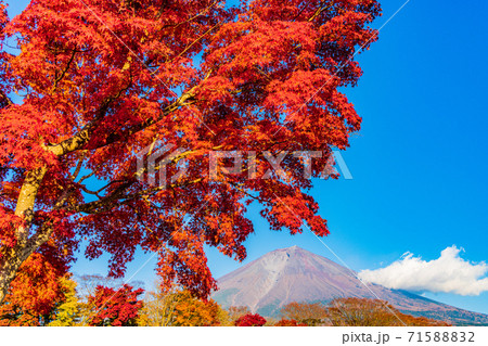 （静岡県）真っ赤な紅葉と富士山 71588832