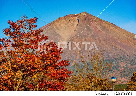 (静岡県)真っ赤な紅葉と富士山 (静岡県)真っ赤な紅葉と富士山 71588833