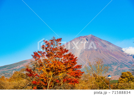 (静岡県)真っ赤な紅葉と富士山 (静岡県)真っ赤な紅葉と富士山 71588834