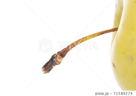 Green delicious apple on white 71589274