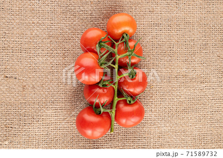 Cherry tomato on jute 71589732