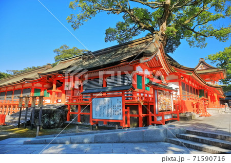 【大分県】晴天下の宇佐神宮　南中楼門 71590716