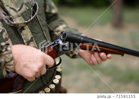Hands of Man Charging Shotgun Hunting Ammunition. Hands of Man Charging Shotgun Hunting Ammunition. 71591155