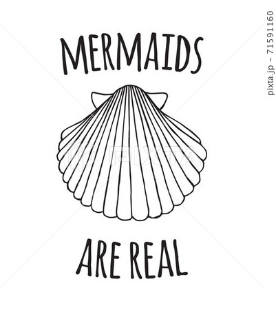 Vector Hand Draw Shell And Mermaid Are Realのイラスト素材