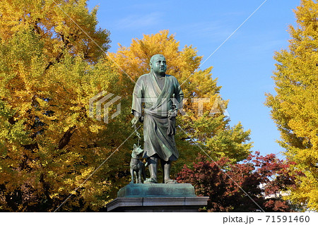 上野公園の西郷隆盛銅像 上野公園の西郷隆盛銅像 71591460