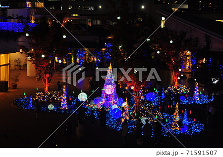 藤沢市の町並み　テラスモール湘南　ヴィレッジ南広場のクリスマスイルミネーション 71591507