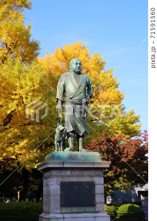 上野公園の西郷隆盛銅像 71591560