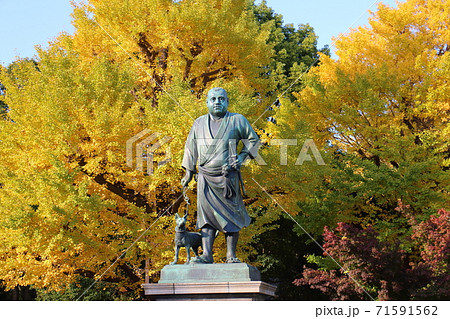上野公園の西郷隆盛銅像 71591562