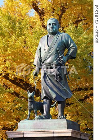 上野公園の西郷隆盛銅像 71591563
