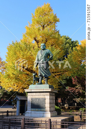 上野公園の西郷隆盛銅像 71591567