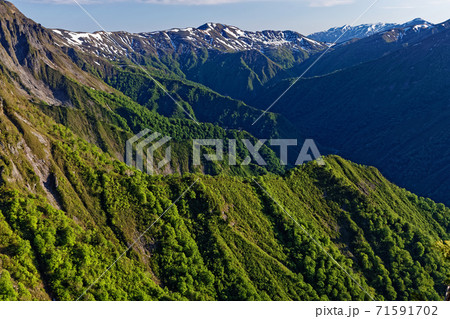 谷川岳・西黒尾根の登りから見る七ツ小屋山と巻機山 71591702