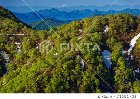 谷川岳・西黒尾根の登りから見る新緑の天神尾根と榛名山・富士山遠望 71591703