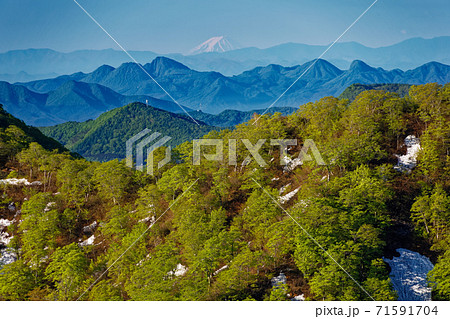 谷川岳・西黒尾根の登りから見る新緑の天神尾根と榛名山・富士山遠望 71591704