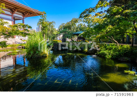 東京都 足立区 西新井大師 大本堂横の庭園 71591963