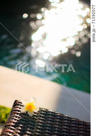 バリ島のプールサイド バリ島のプールサイド 71592077