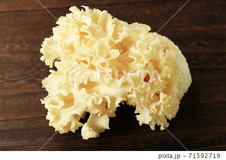 ハナビラタケ 71592719