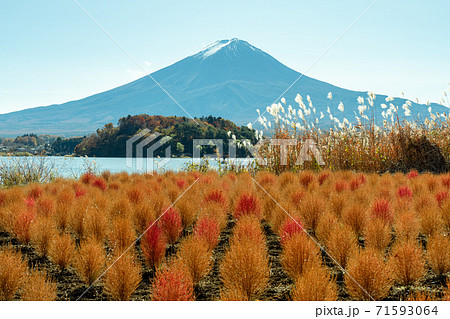 富士山 富士山 71593064