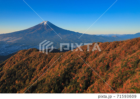 赤く染まる紅葉 三ッ峠から望む富士山 赤く染まる紅葉 三ッ峠から望む富士山 71593609