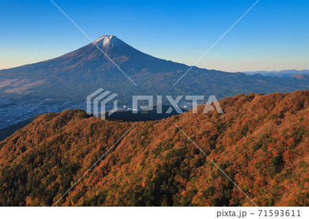 赤く染まる紅葉　三ッ峠から望む富士山 71593611