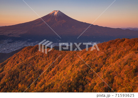 赤く染まる紅葉　三ッ峠から望む富士山 71593625