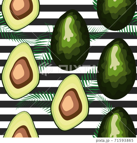 Avocado seamless pattern. Ripe vegetables on striped background. Healthy food print. 71593865