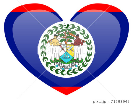Flag of Belize. Accurate dimensions, element proportions and colors. 71593945