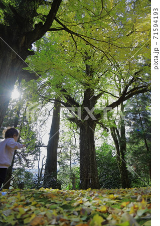 大石見神社 71594193