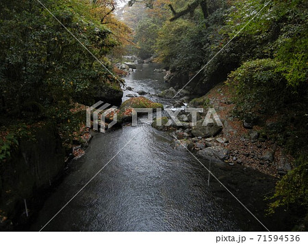 日本の川景色:熊本県の菊地渓谷の菊地川と紅葉 日本の川景色:熊本県の菊地渓谷の菊地川と紅葉 71594536