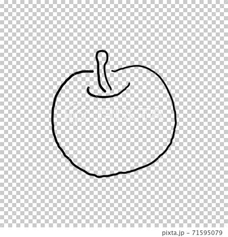 蘋果線條圖 71595079