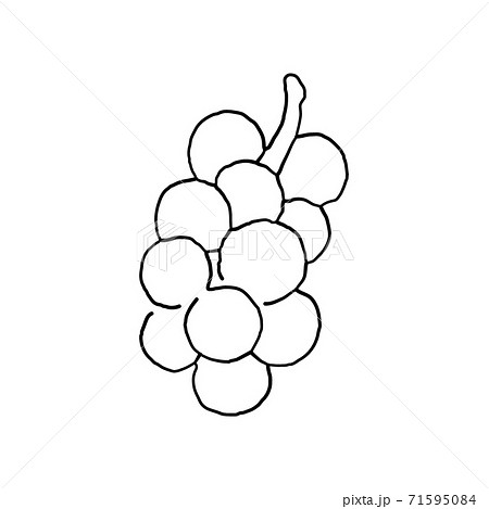 grapes line art