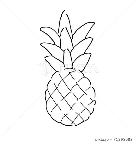 パイナップル線画のイラスト素材