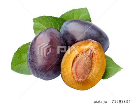 Sweet plums with leaves isolated on white backgrounds. Sweet plums with leaves isolated on white backgrounds. 71595334