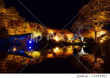 桜山公園 桜山公園 71595961