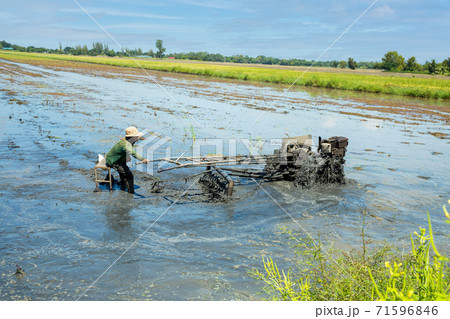 Tractor in field thailand Tractor in field thailand 71596846