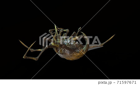 the evil bug 3d render 71597671