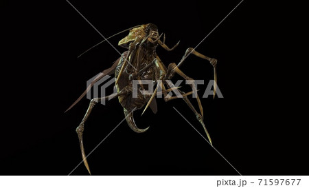 the evil bug 3d render 71597677