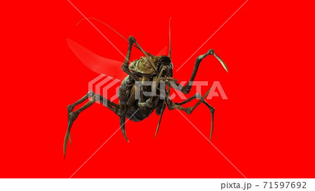 the evil bug 3d render 71597692