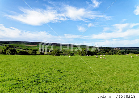 Landscape over the fields - County Durham 71598218