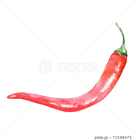 Watercolor hot red pepper Watercolor hot red pepper 71598473