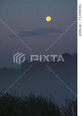 Morning fog with full moon in nature reserve Rezabinec in Southern Bohemia, Czech Republic Morning fog with full moon in nature reserve Rezabinec in Southern Bohemia, Czech Republic 71598581