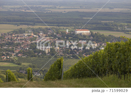 Siklos castle in Villany region with vineyards, Southern Hungary Siklos castle in Villany region with vineyards, Southern Hungary 71599029