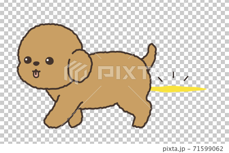 A dog that has urinated on the floor 71599062