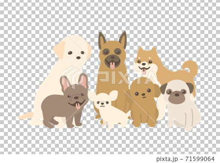 犬の集合のベクターイラスト カメラ目線 背景白のイラスト素材