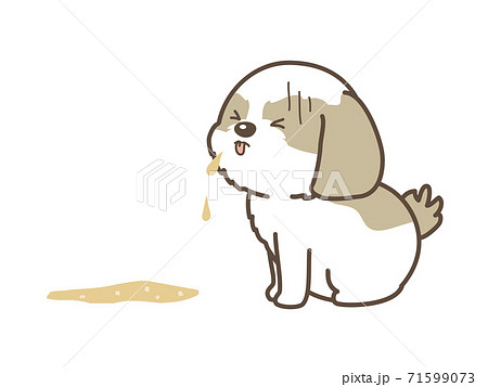 嘔吐をしてしまった犬 シーズーのイラスト素材